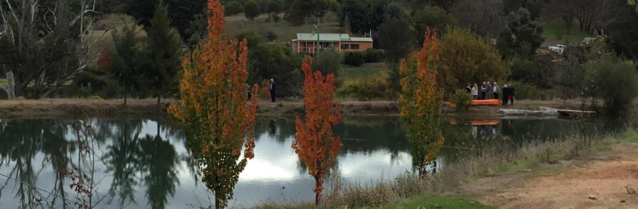 Woodlands Of Balingup Bush Cottages Exterior foto
